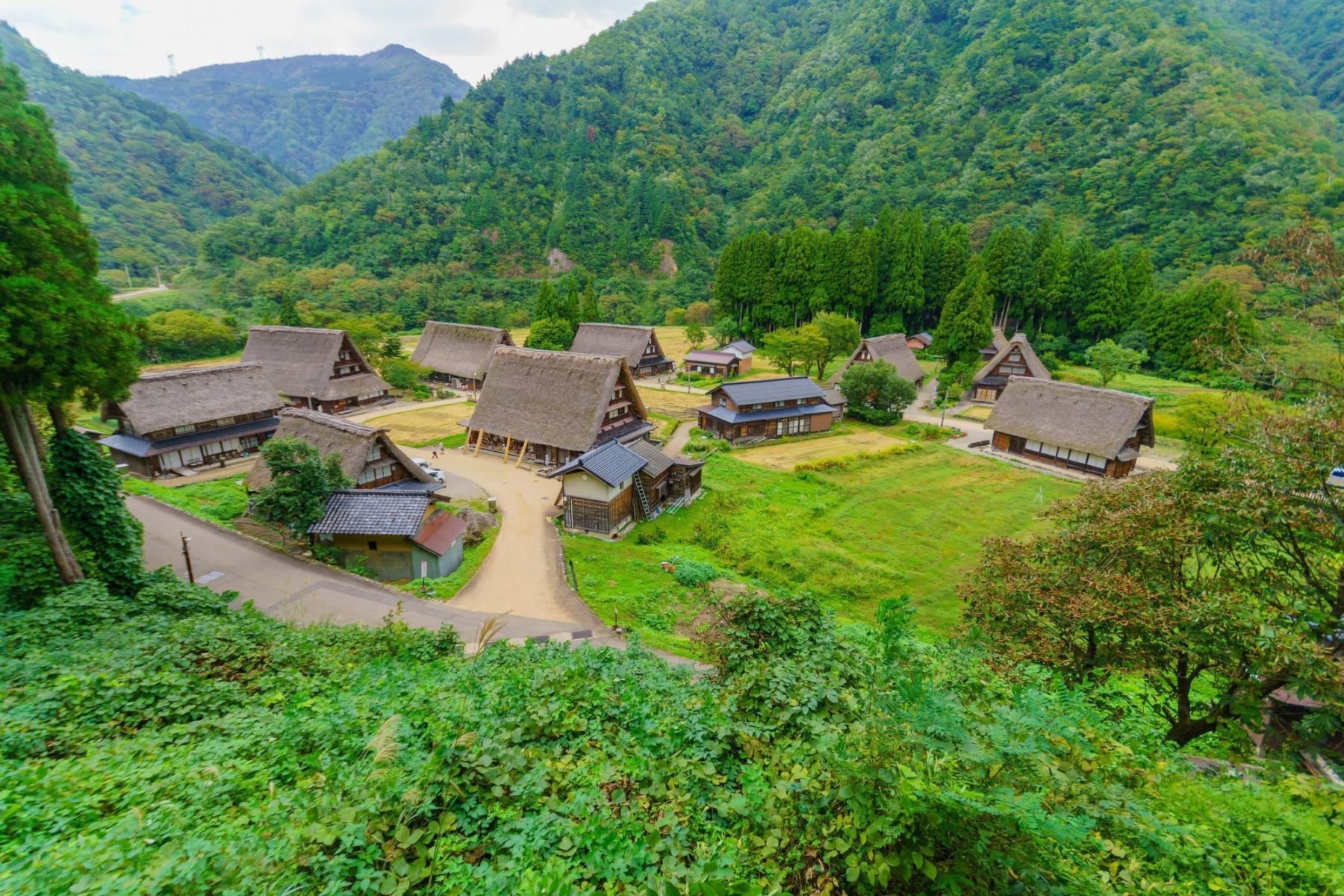 菅沼合掌村夏季合掌造聚落與綠意景色