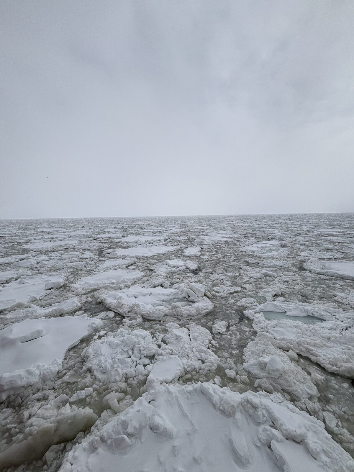 從 AURORA 破冰船看見的鄂霍次克海流冰