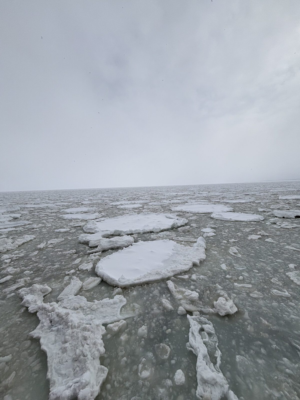 從 AURORA 船上望見鄂霍次克海大片流冰