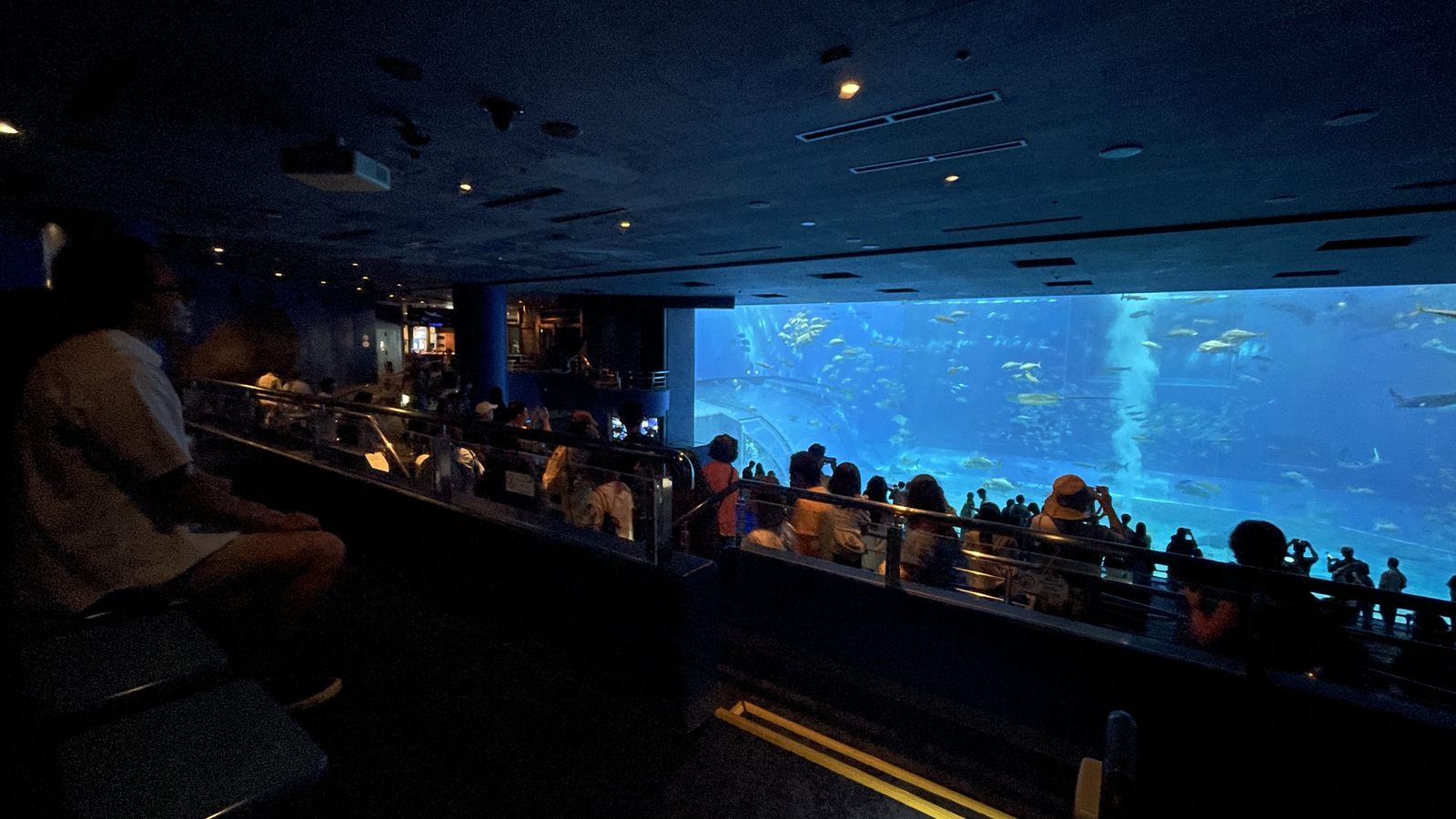 Cafe Ocean Blue 座位區眺望黑潮之海水槽