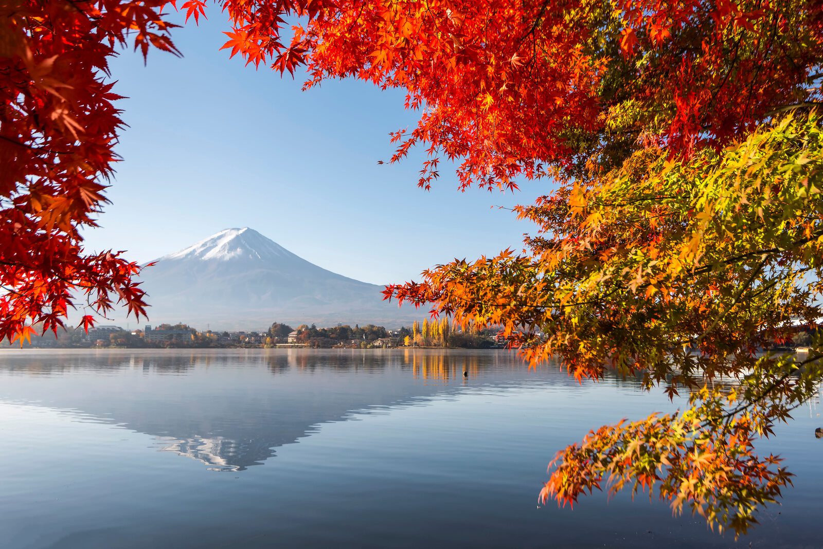 河口湖畔紅葉環繞富士山與湖面倒影的日本秋景