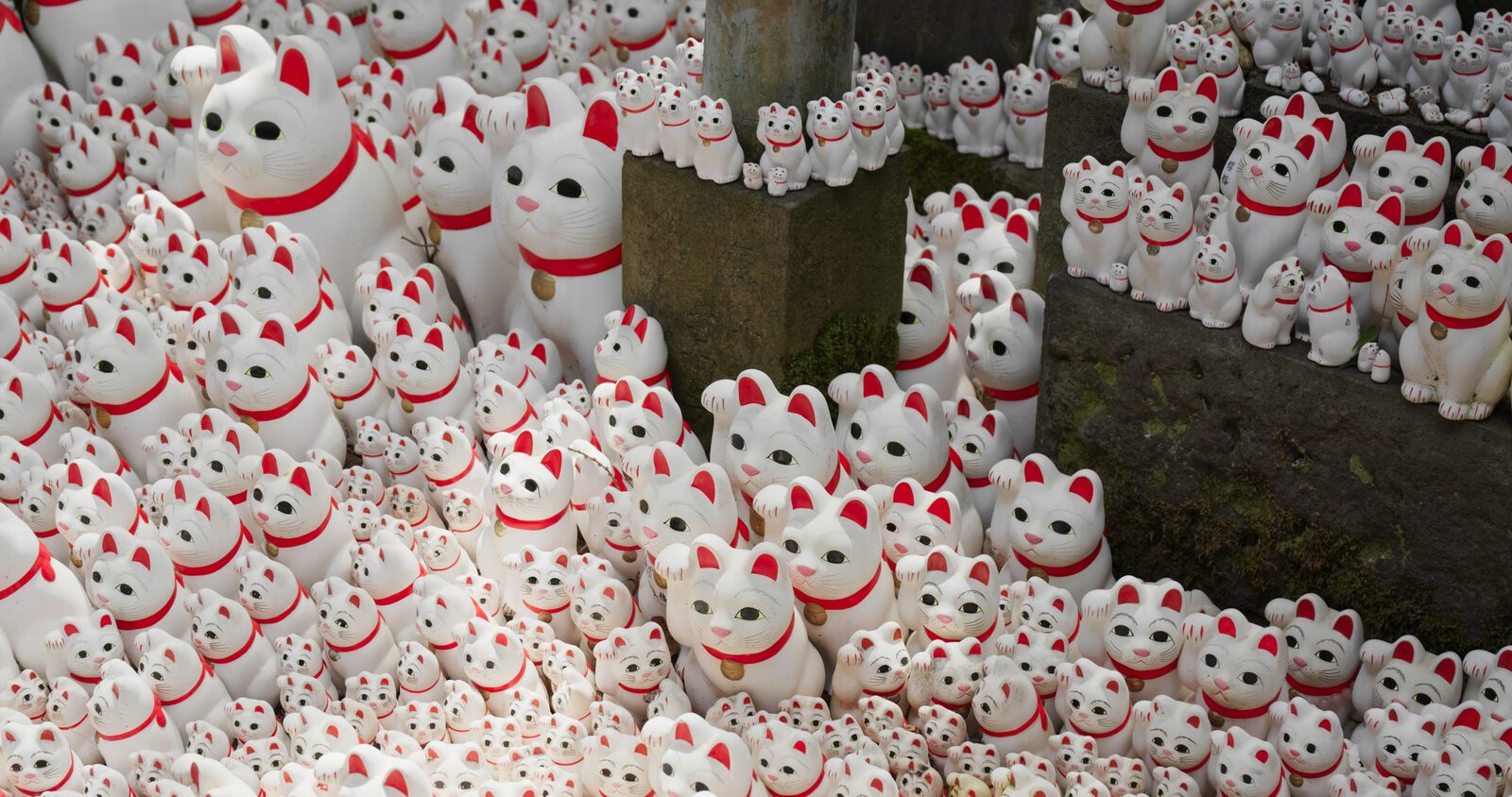 東京豪德寺境內成排招福貓