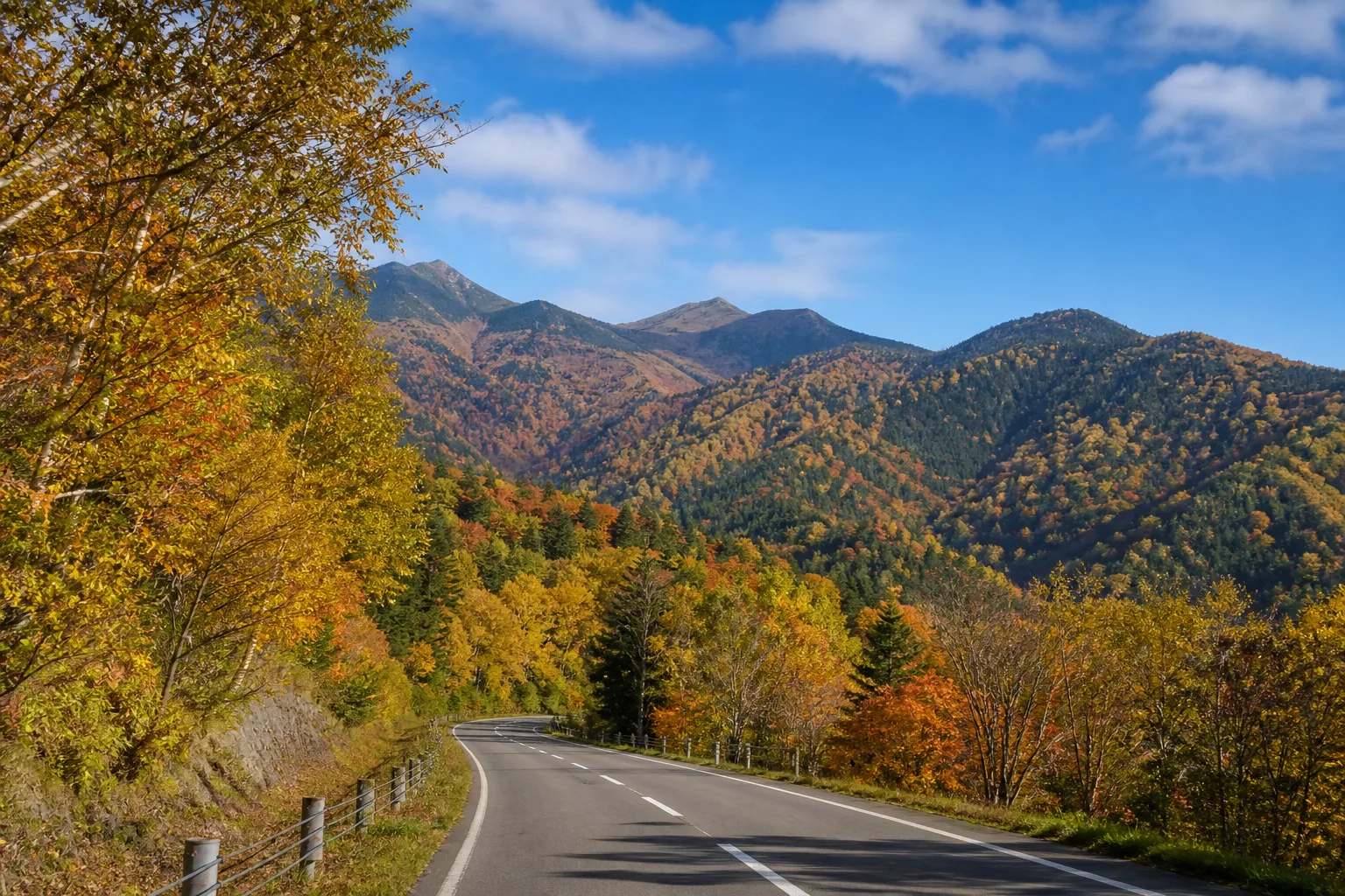 北海道道東山區公路與秋季紅葉山林情境