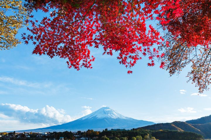 2026日本賞楓攻略｜9月到12月紅葉時間、景點與行程規劃