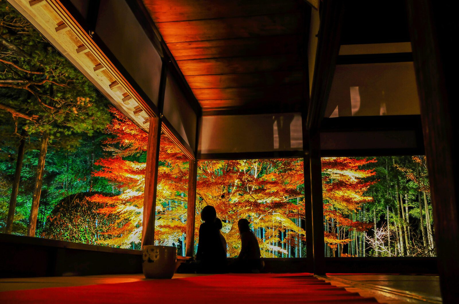日式寺院室內眺望夜間點燈紅葉