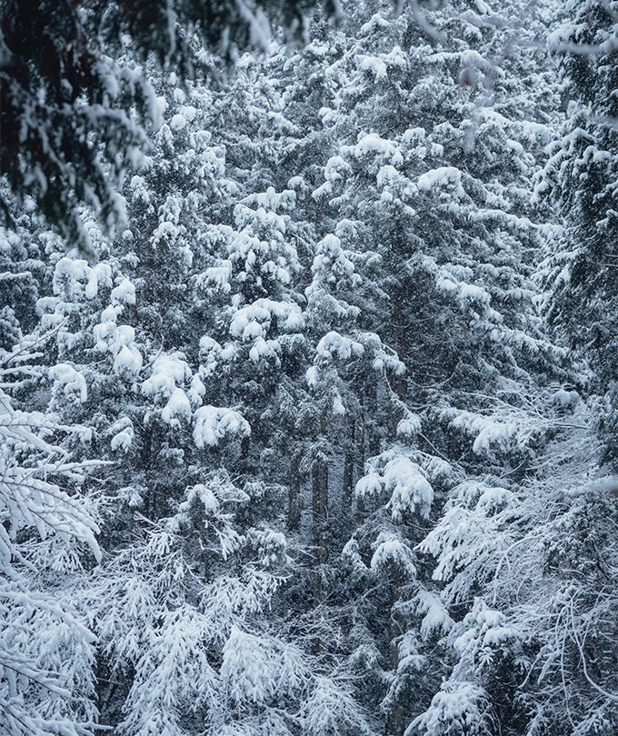貴船山林覆蓋厚雪的冬季景色