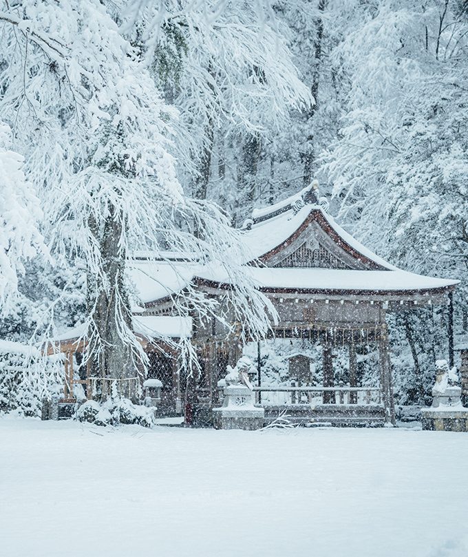貴船神社社殿與周圍樹林的雪景