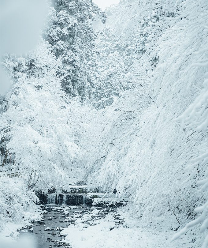 貴船山林溪流與樹枝覆蓋積雪