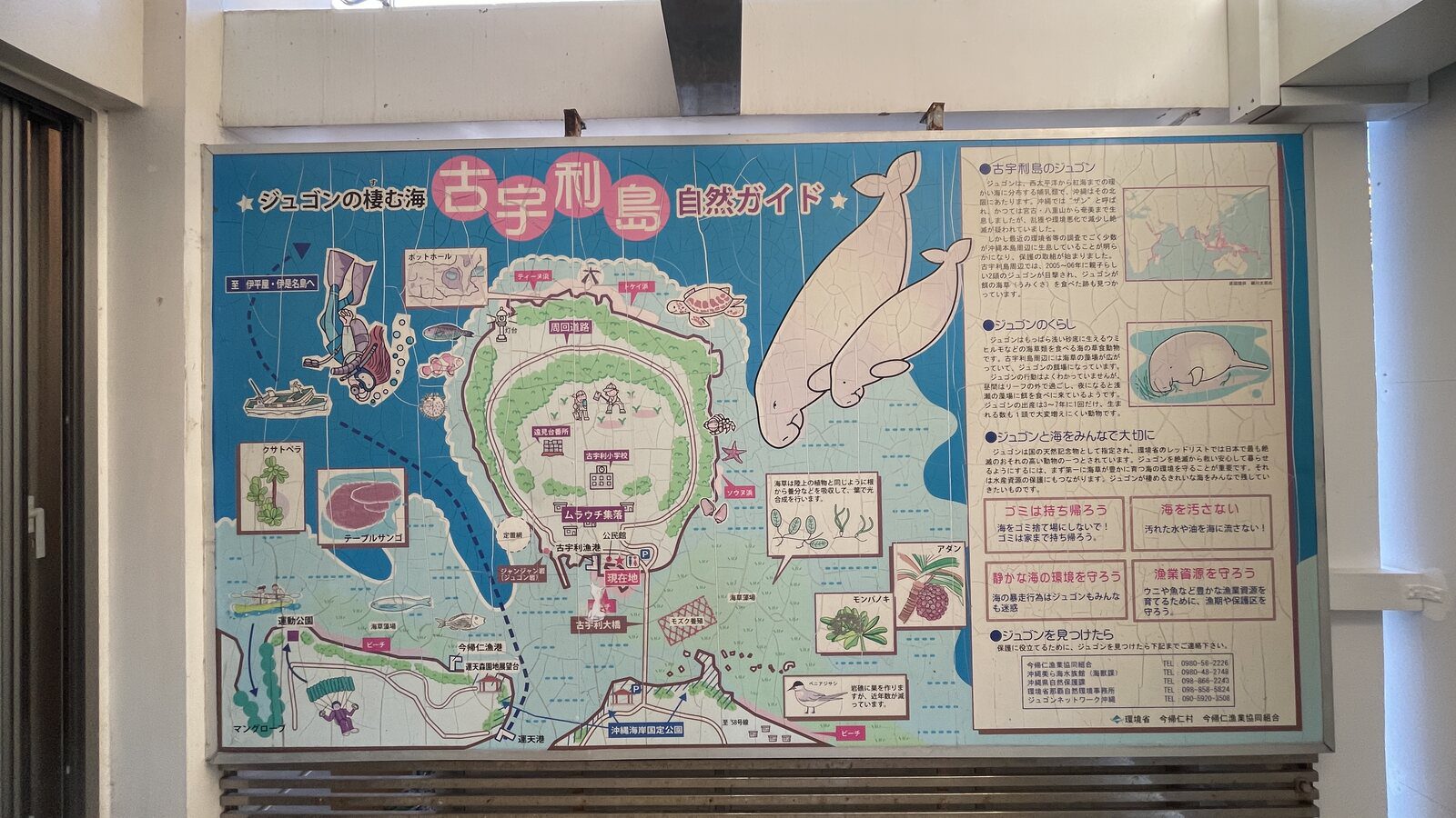 古宇利島現場導覽地圖標示環島道路與主要景點