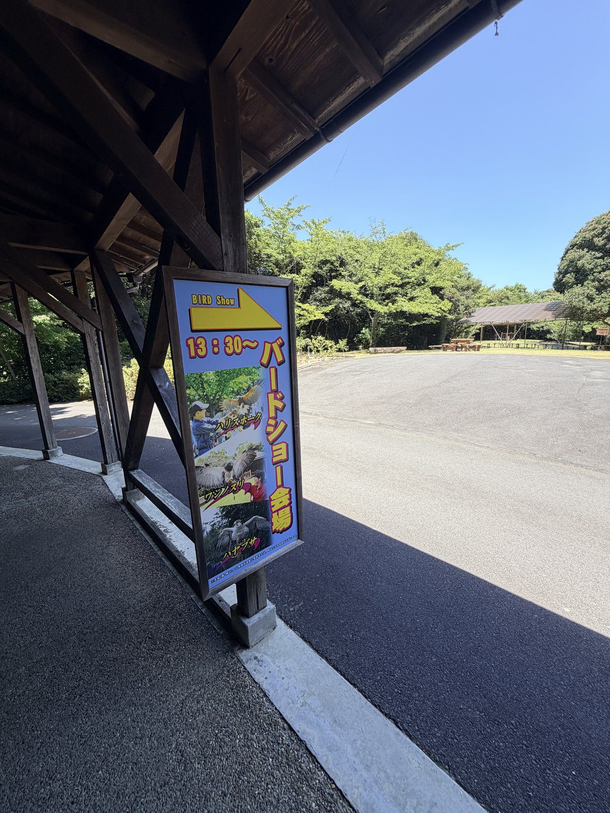 園區飛行秀會場（BIRD Show）指示牌與表演時間公告