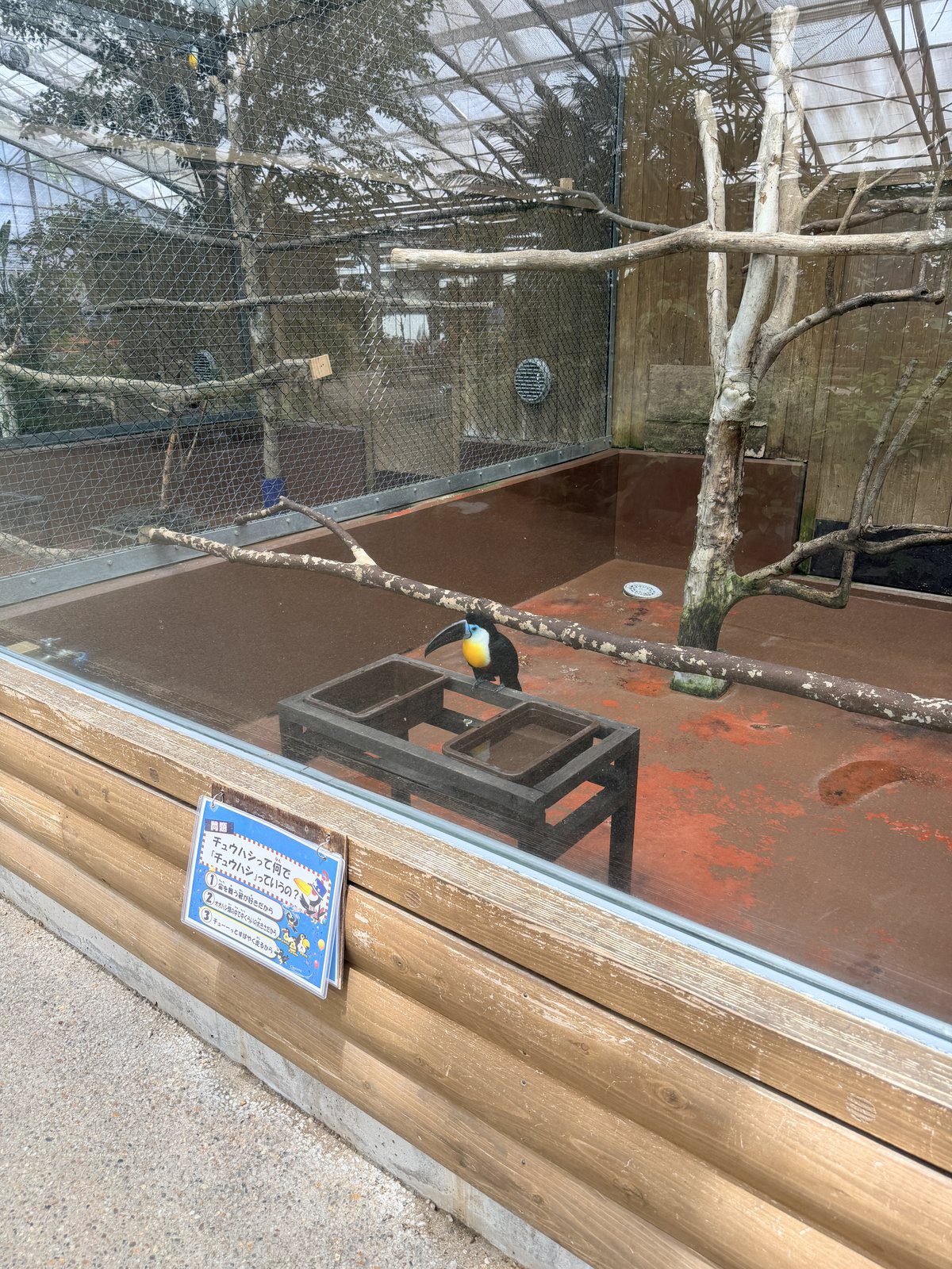 熱帶水鳥溫室內的珍稀鳥類棲木觀察