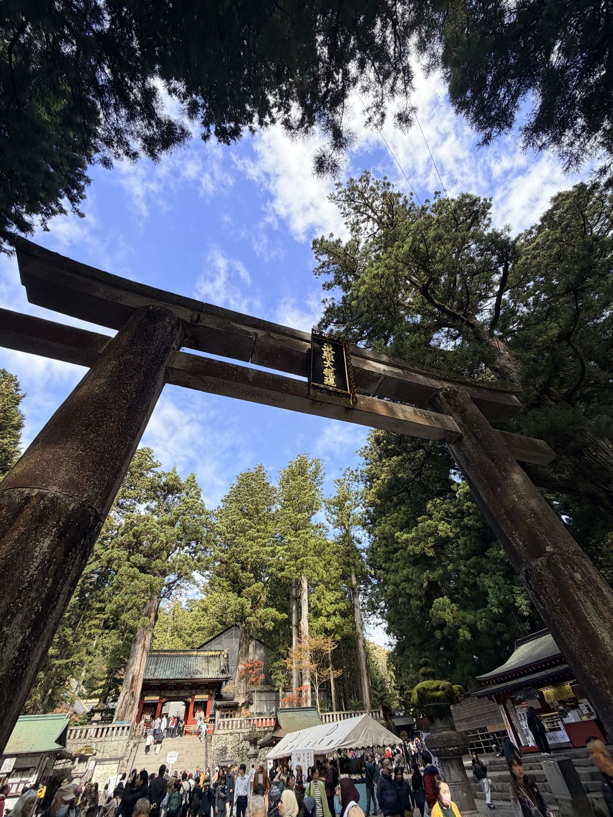 石鳥居橫木中央的東照大權現金匾，後方可見朱色表門