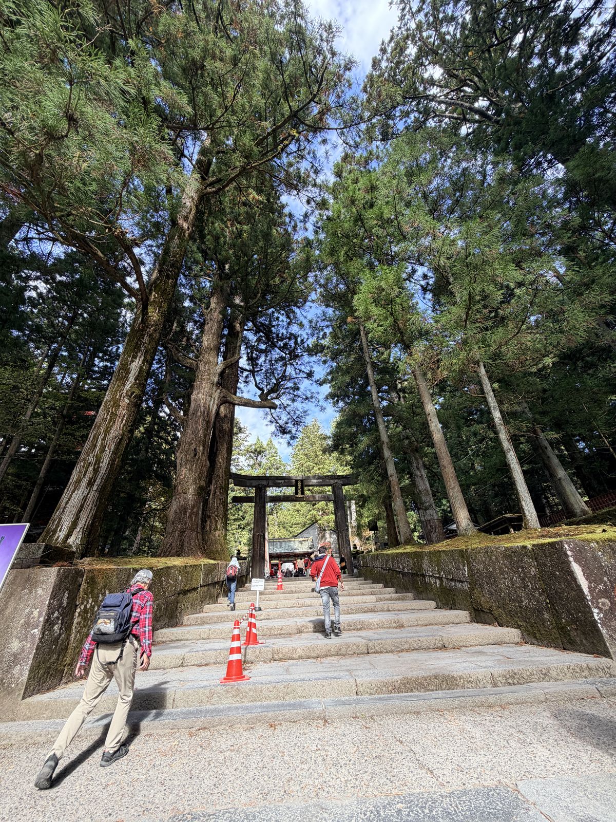 從石階仰望日光東照宮一之鳥居與兩側巨大杉木