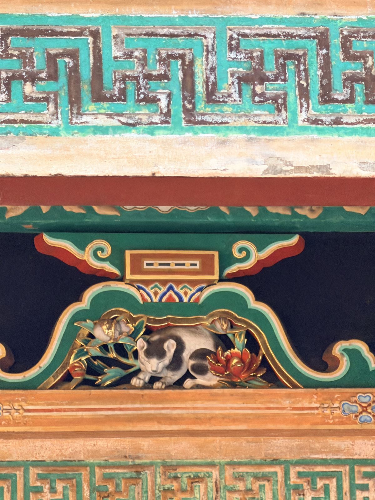 坂下門上方國寶眠貓木雕特寫，貓蜷睡在牡丹花旁