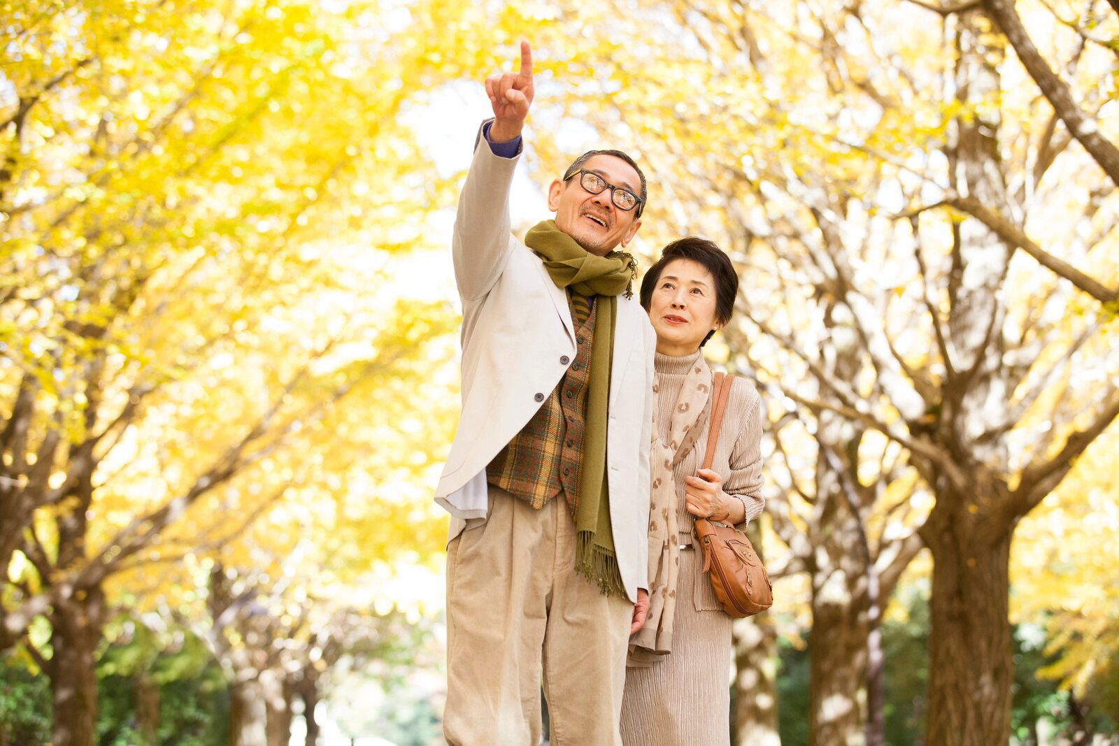 長輩夫妻在日本銀杏季散步