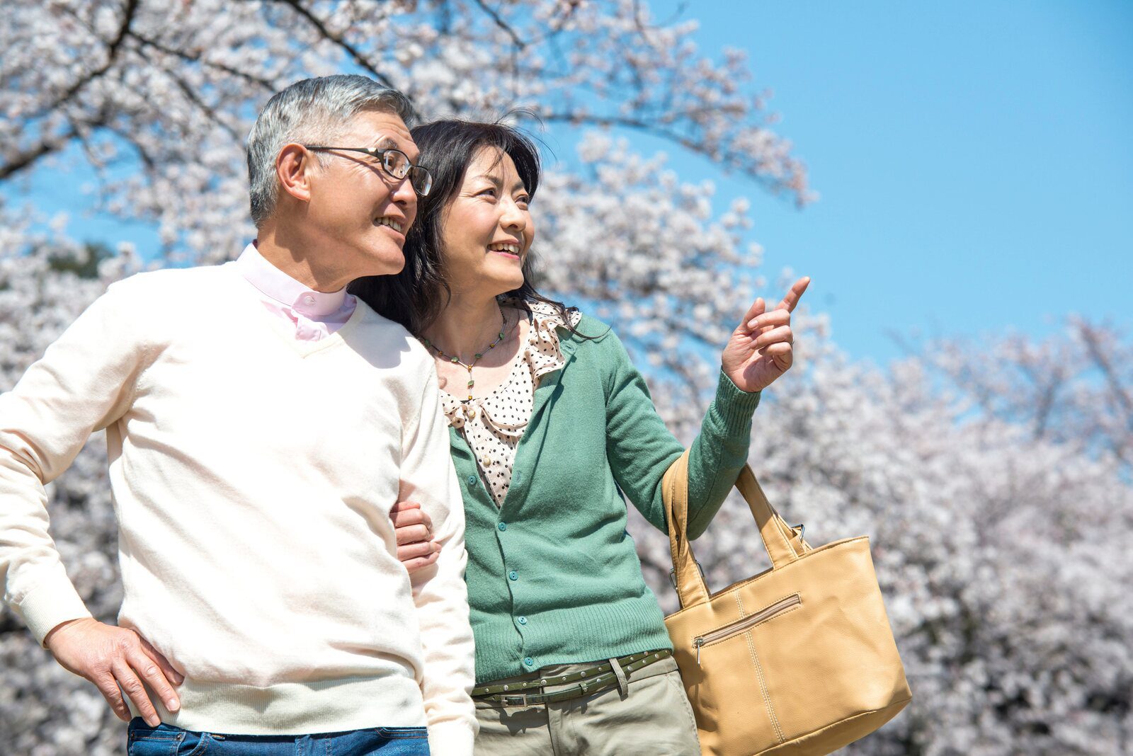 長輩夫妻在日本櫻花樹下旅行