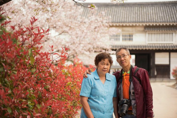 帶爸媽去日本一定要包車嗎?8 種情況最推薦,讓長輩少走路、多看風景