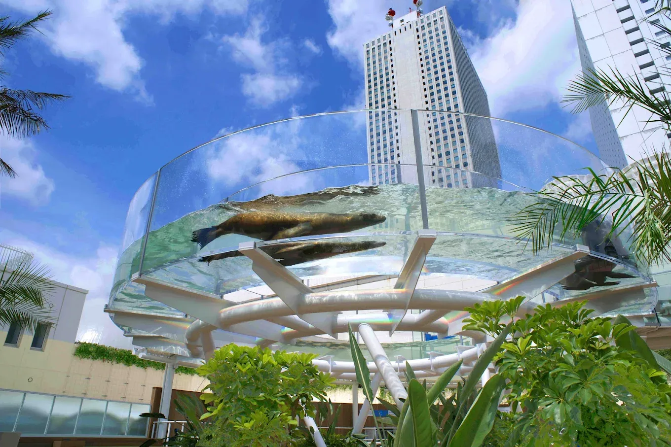 池袋太陽城水族館戶外 Sunshine Aqua Ring