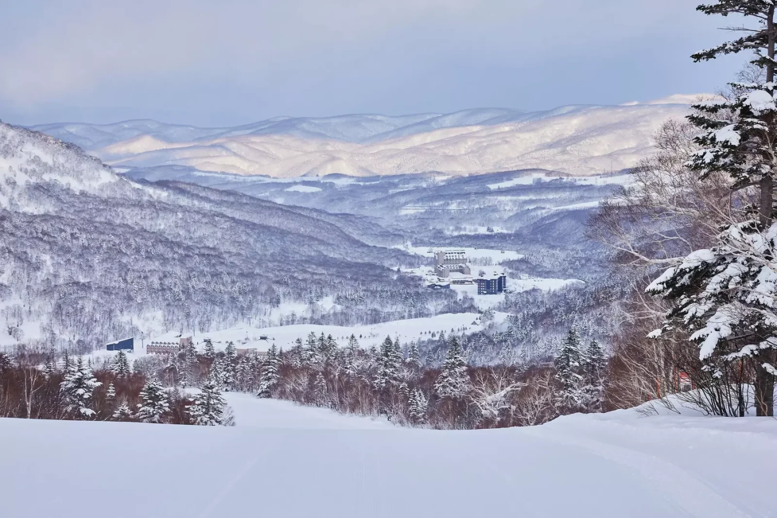 北海道喜樂樂 Peak 滑雪度假村|Kiroro Peak 粉雪雪場與滑雪者