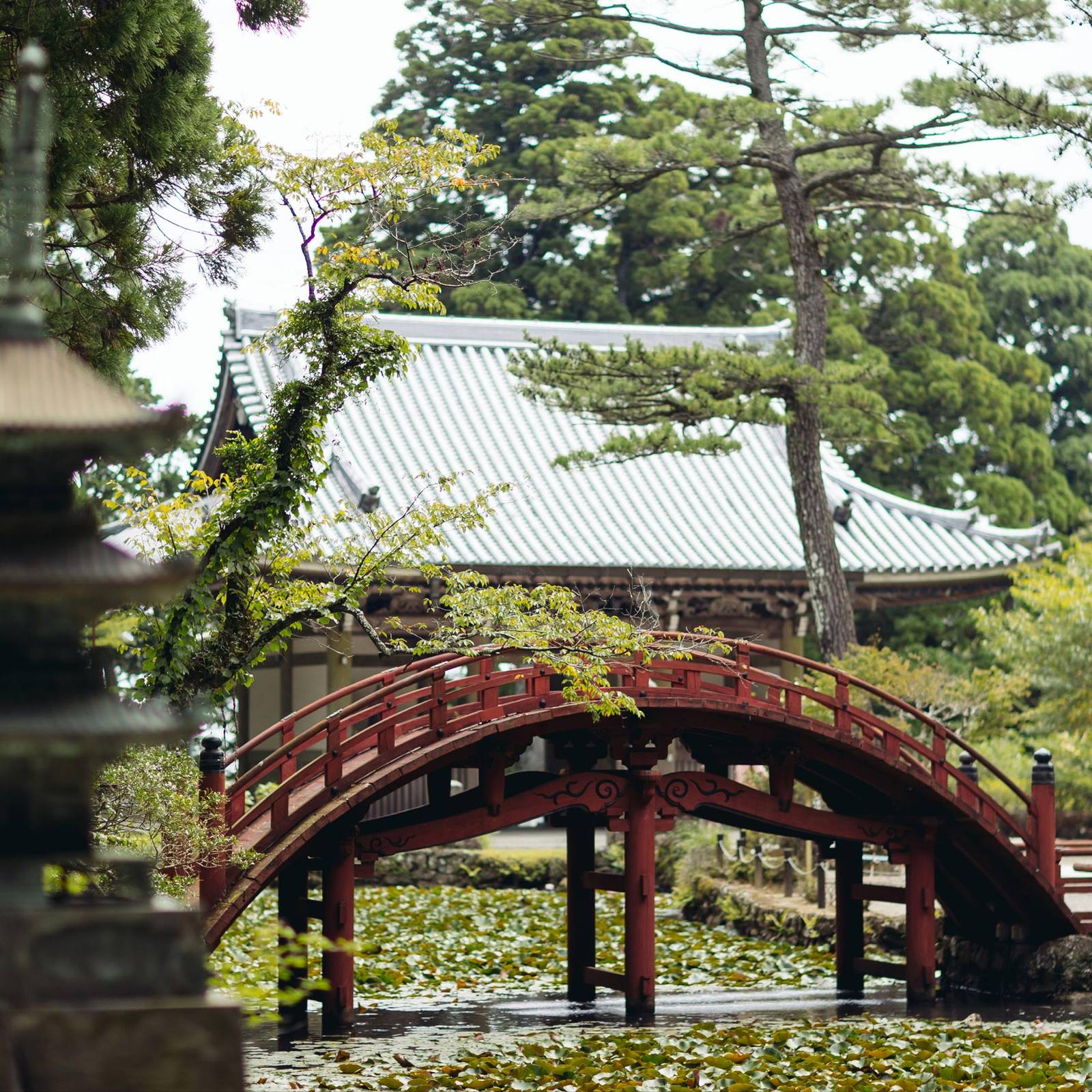 安縵伊沐｜朱紅色拱橋與後方的神社建築、松樹