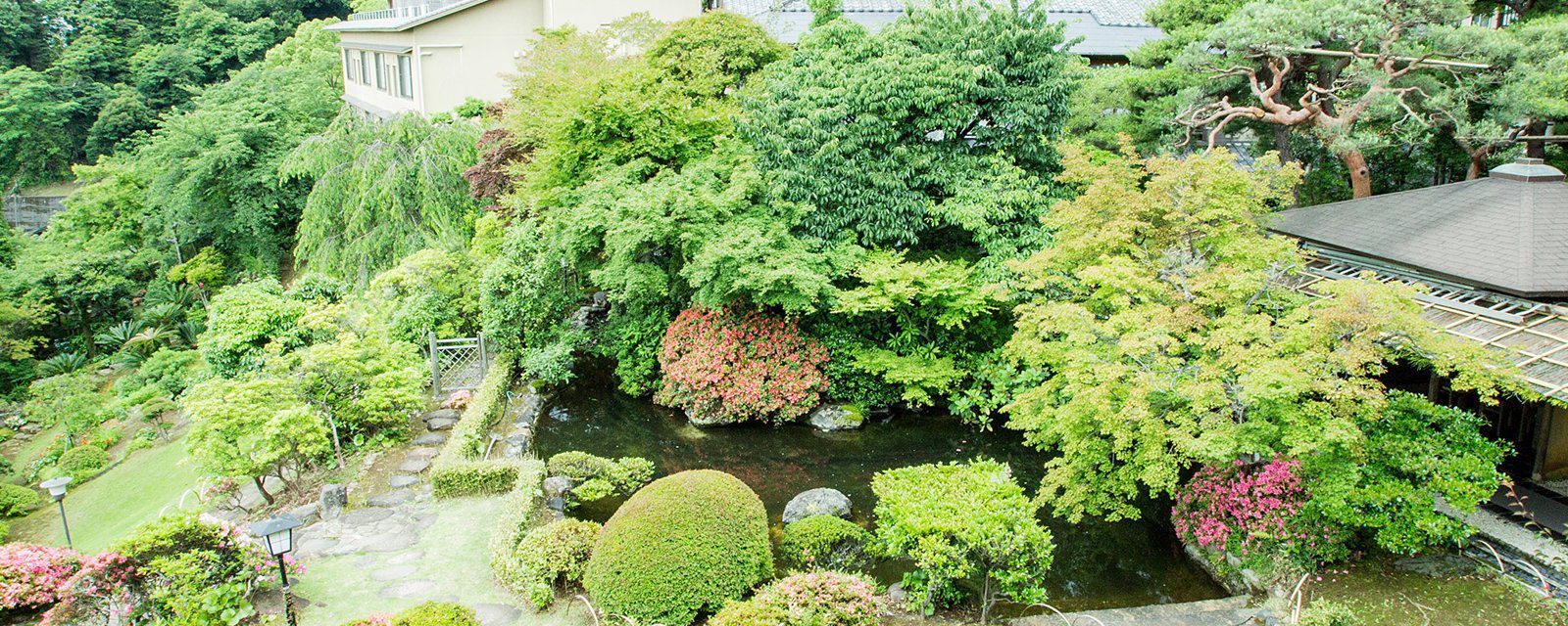 熱海 大觀莊有水池與松樹的日本庭園