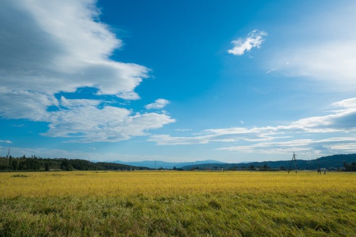 熱鹽溫泉 山形屋
