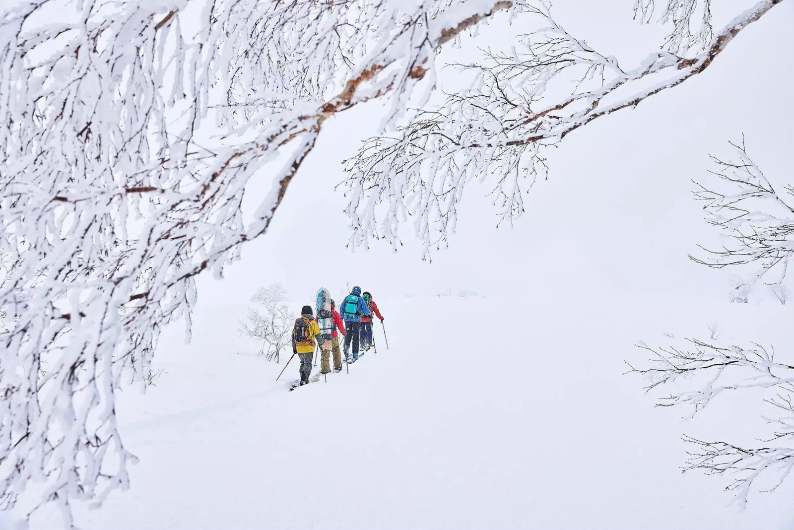 北海道喜樂樂 Peak 滑雪度假村 穿雪鞋走在樹冰林間的健行隊伍