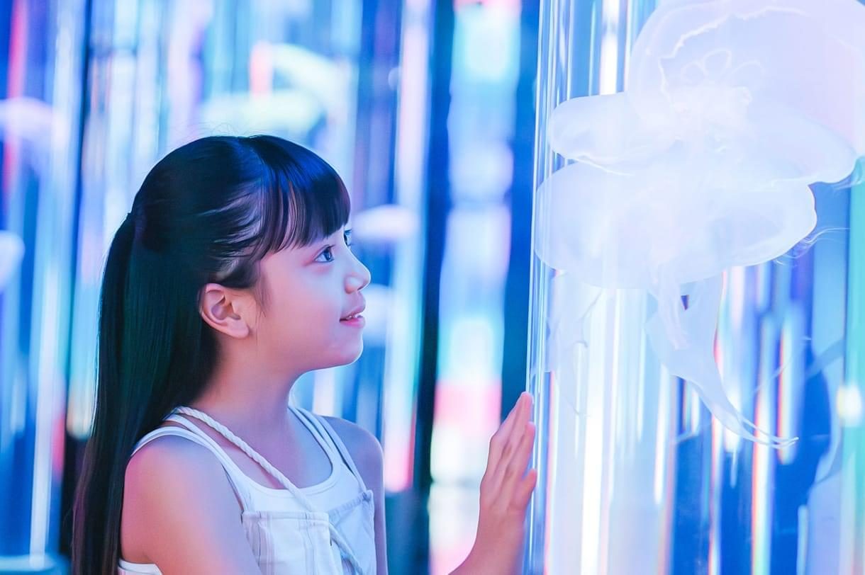 DMM Kariyushi 水族館水母展區