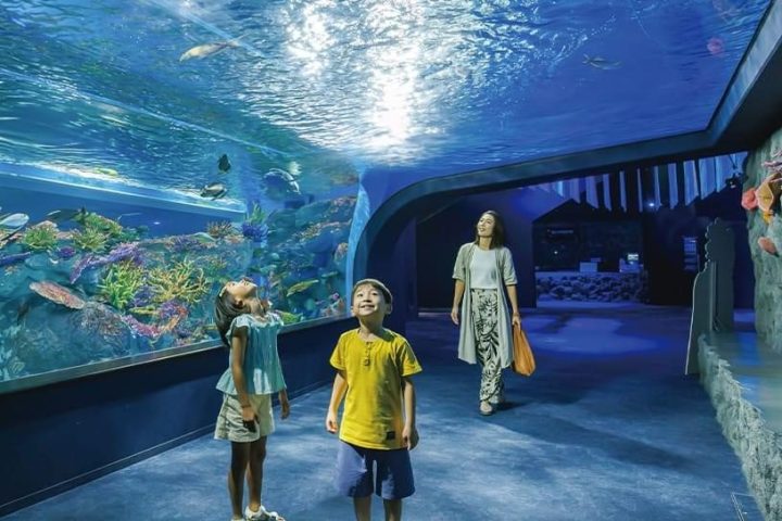 沖繩 DMM 水族館、糸滿魚市場與瀨長島一日遊