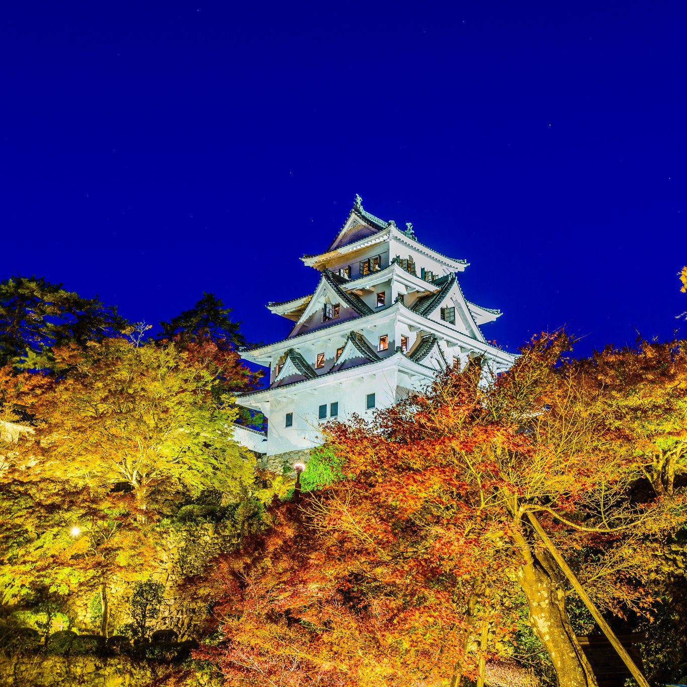 萬楓酒店 岐阜郡上 夜間點燈的郡上八幡城與紅葉