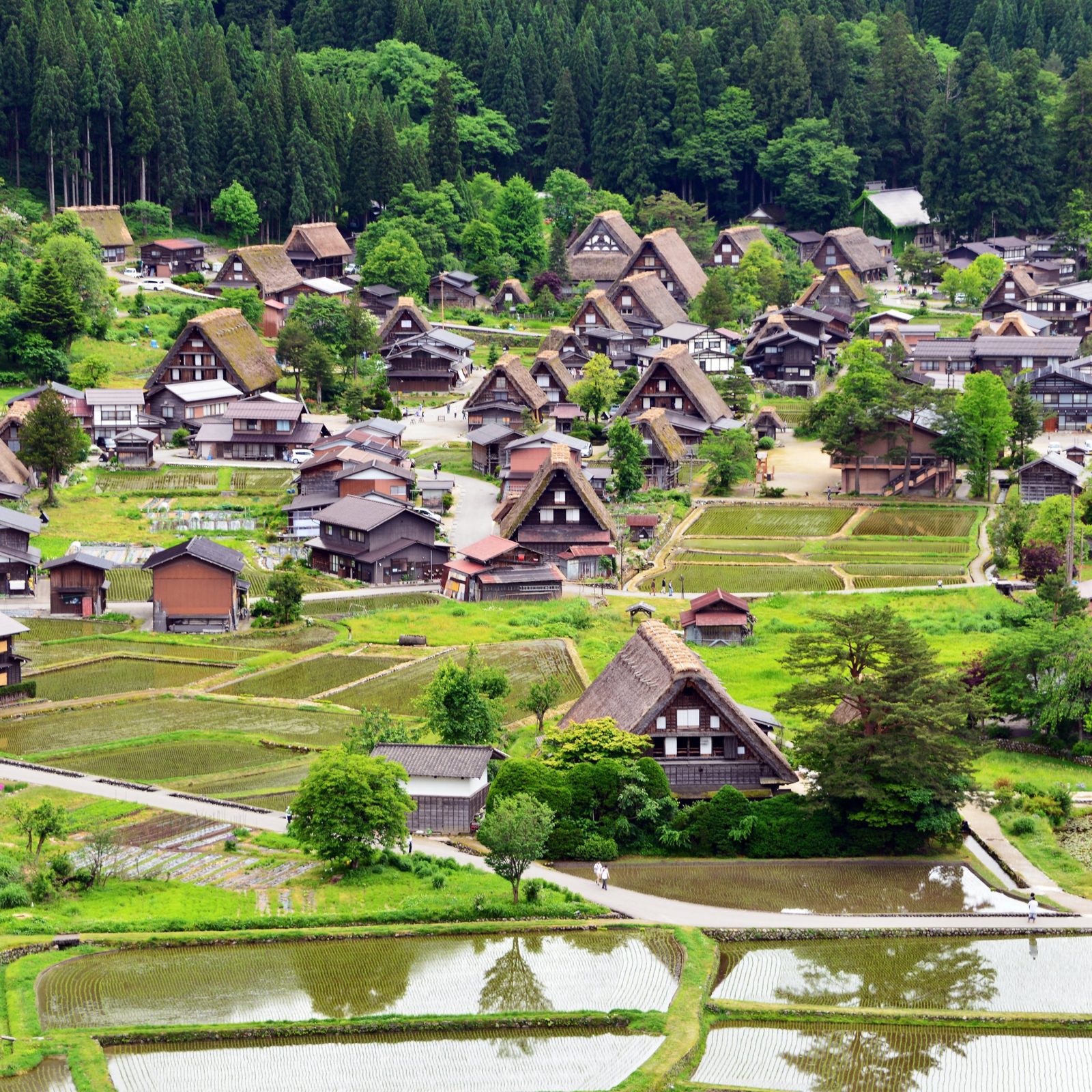 萬楓酒店 岐阜高山白川鄉 往北的白川鄉合掌村