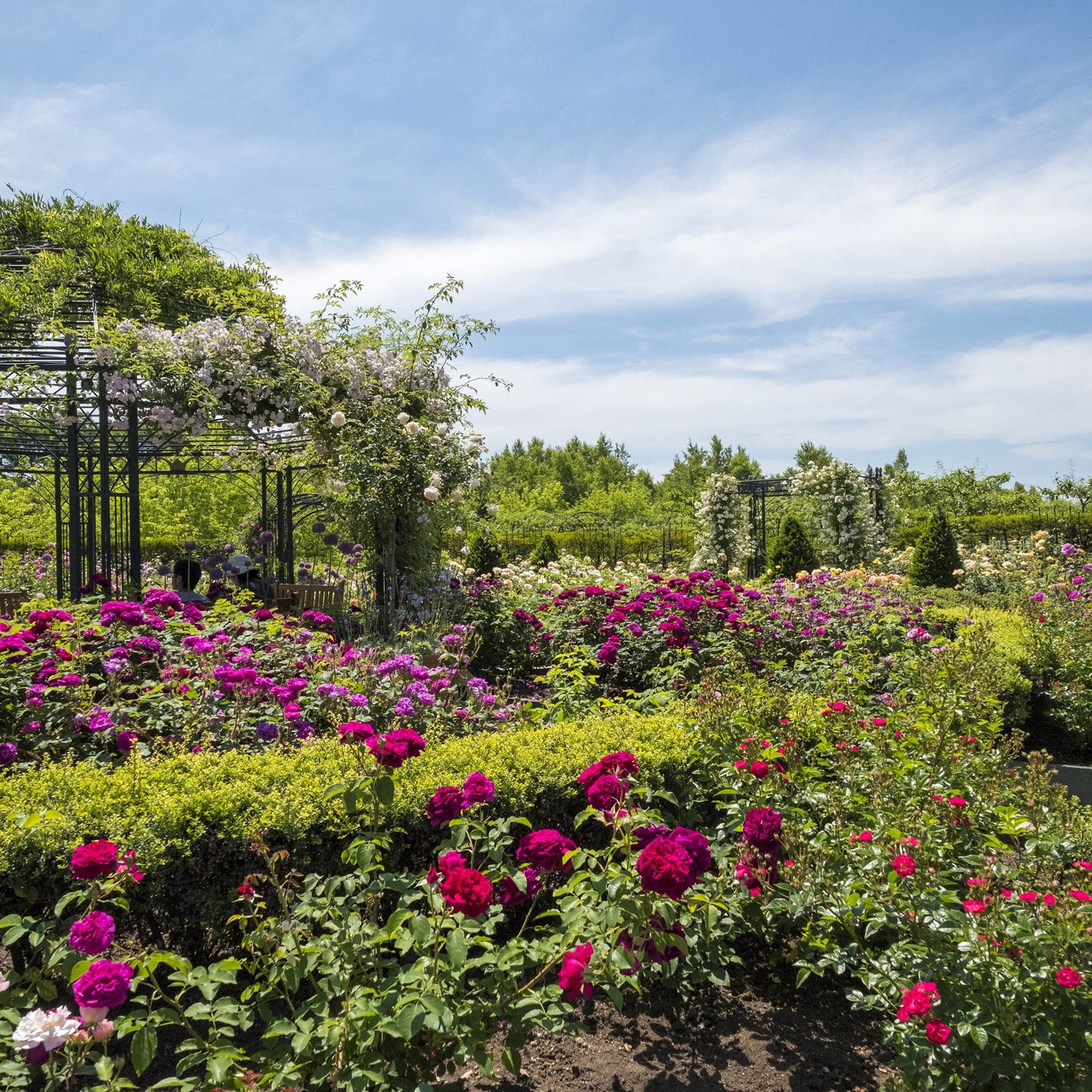 萬楓酒店 北海道惠庭 えこりん村的花園