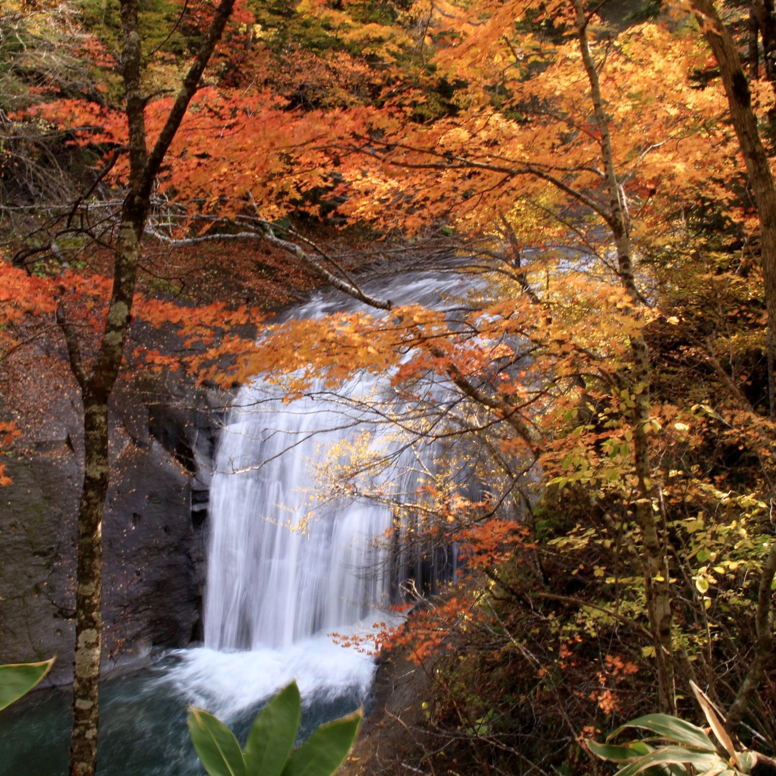 萬楓酒店 北海道惠庭 惠庭溪谷的瀑布與紅葉