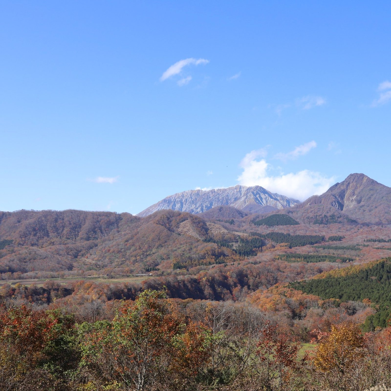 萬楓酒店 岡山蒜山高原 蒜山大山天際線看到的大山