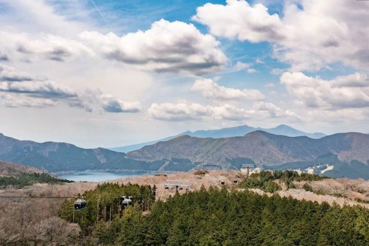 2026 箱根溫泉飯店推薦|9 間溫泉旅館比較與選房重點