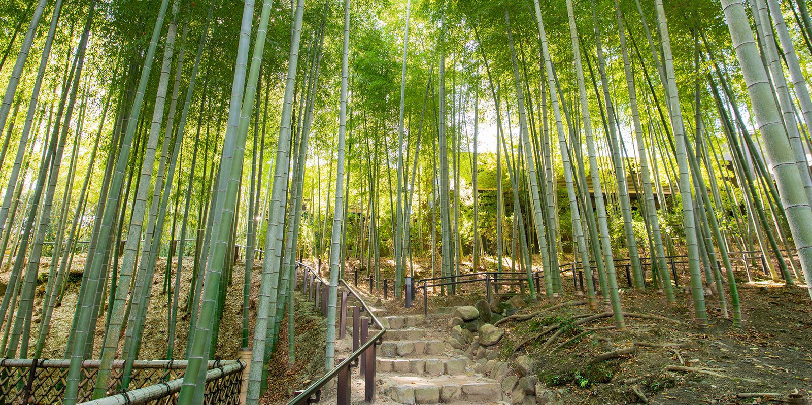 馥府 奈良 日本庭園「瑜伽山園地」竹林石階