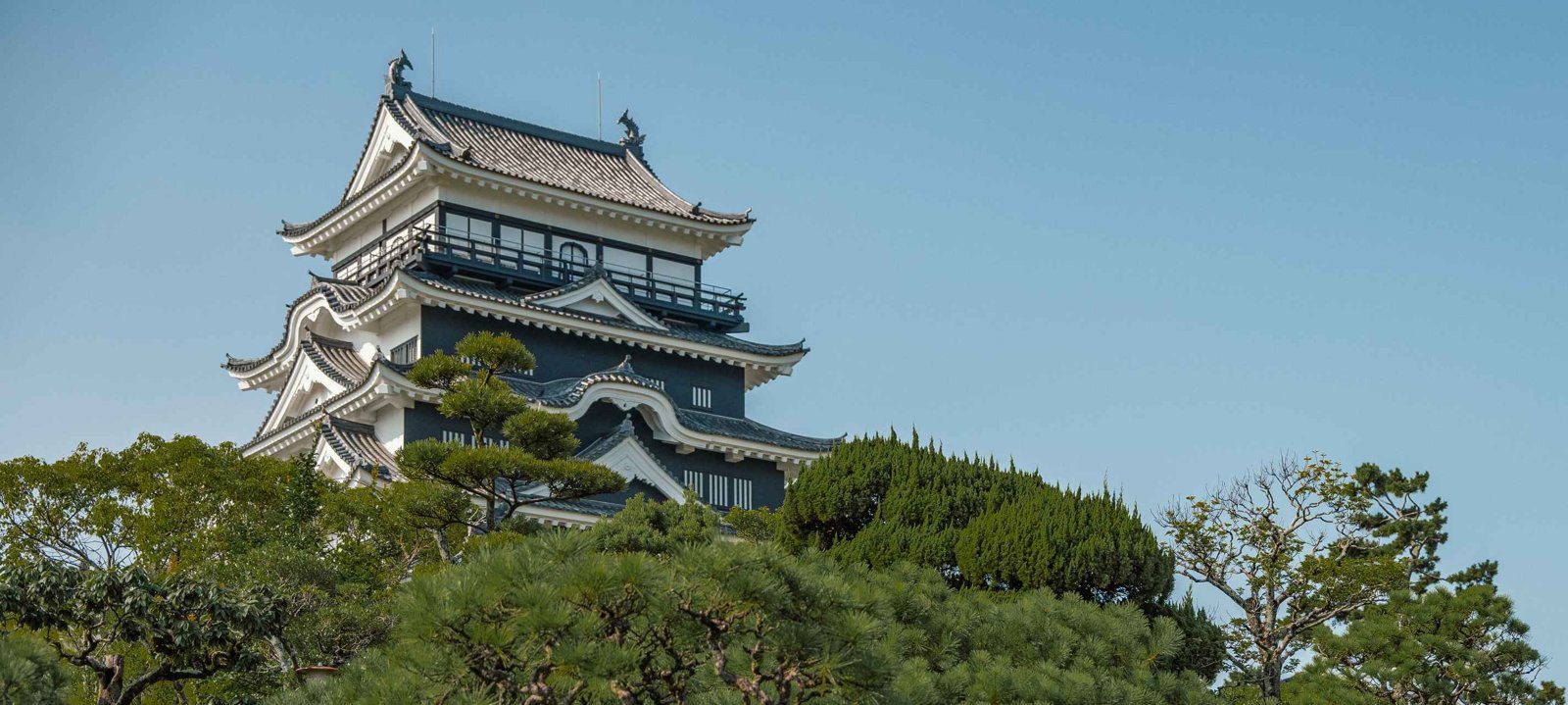 福山城 Castle Stay 松樹後方的福山城天守