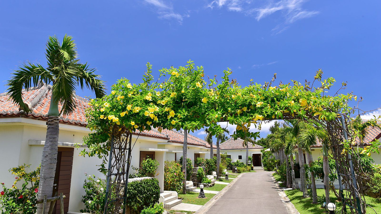 石垣島 富崎海灘渡假酒店 花棚與棕櫚樹旁的赤瓦 Garden Villas