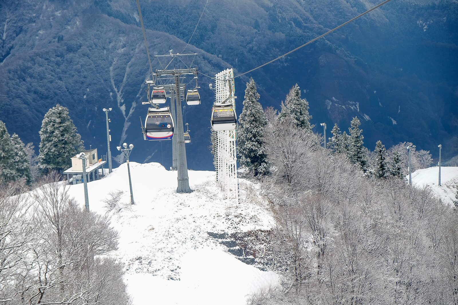 纜車行經 GALA 湯澤的積雪山坡與樹林