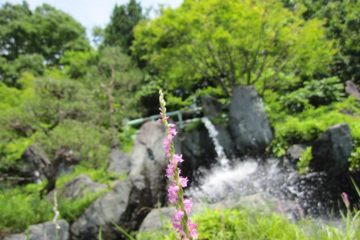 昼神溫泉 御宿山翠