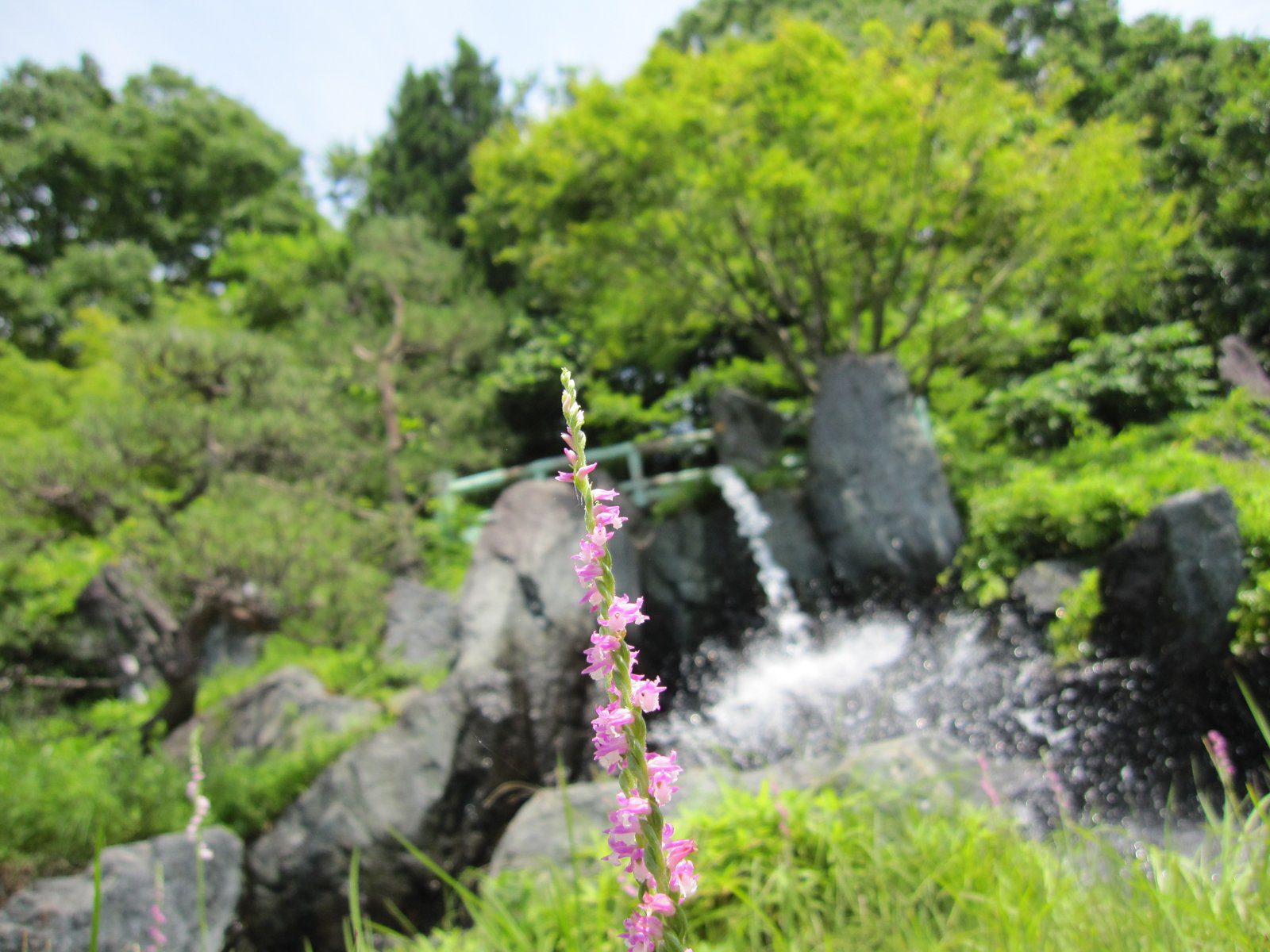 昼神溫泉 御宿山翠