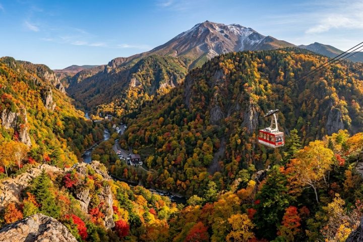 北海道秋季紅葉包車5日遊｜能取湖珊瑚草・層雲峽黑岳纜車・阿寒湖鶴雅・美瑛青池