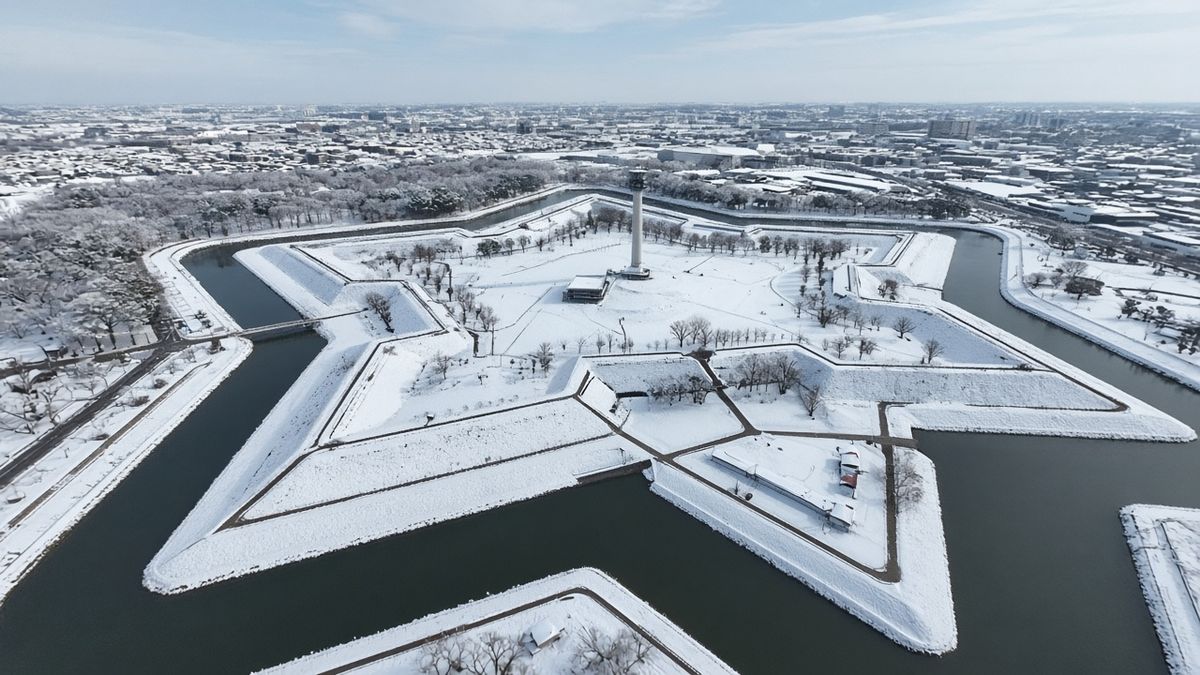五稜郭雪中星形要塞與展望塔視角