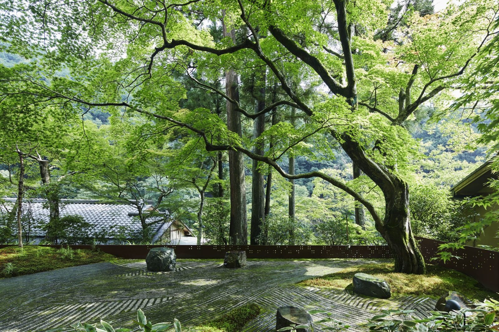 虹夕諾雅 京都 苔庭與新綠