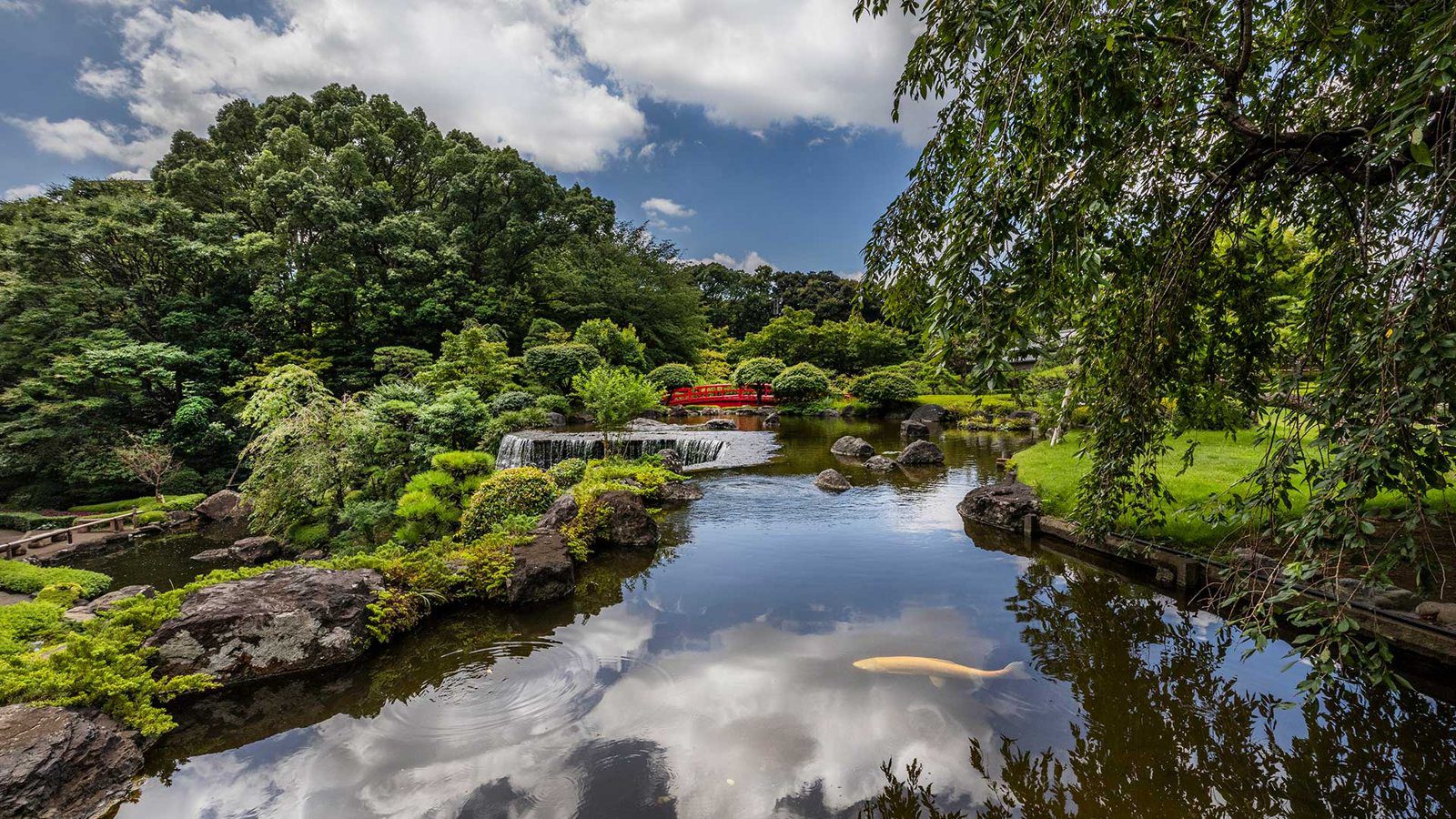 東京新大谷飯店 日本庭園池泉與紅色太鼓橋