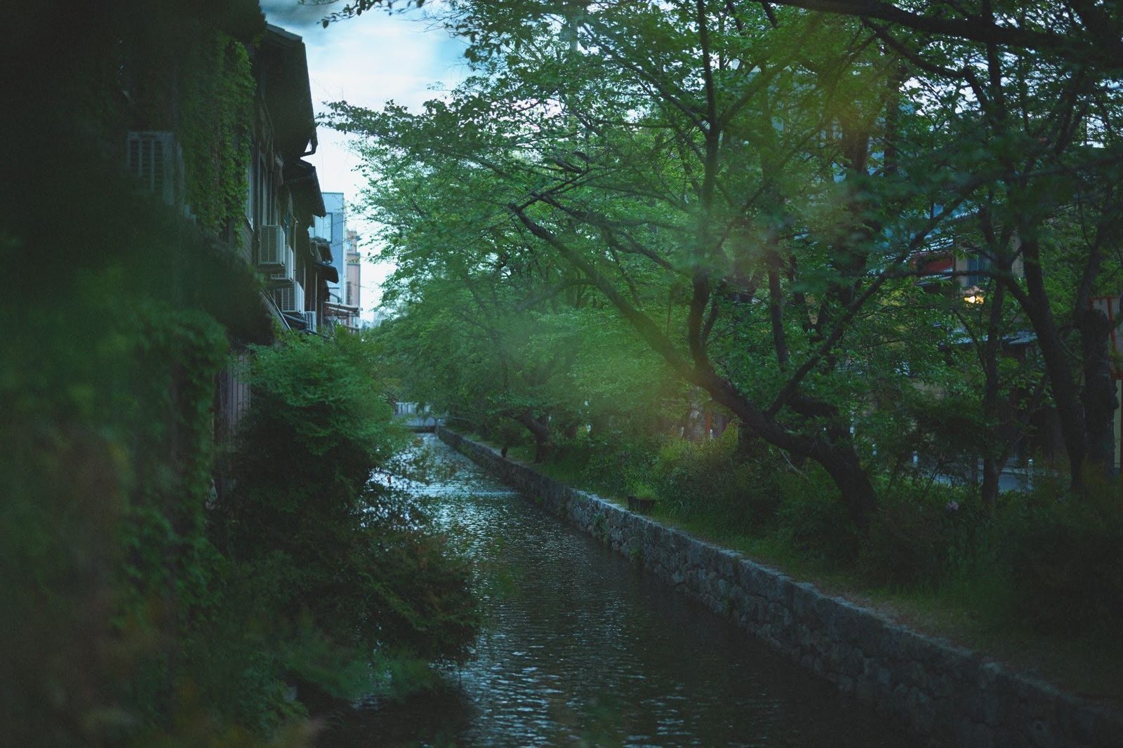 Hotel VMG Kyoto 鴨川 高瀨川景客房（3 室）