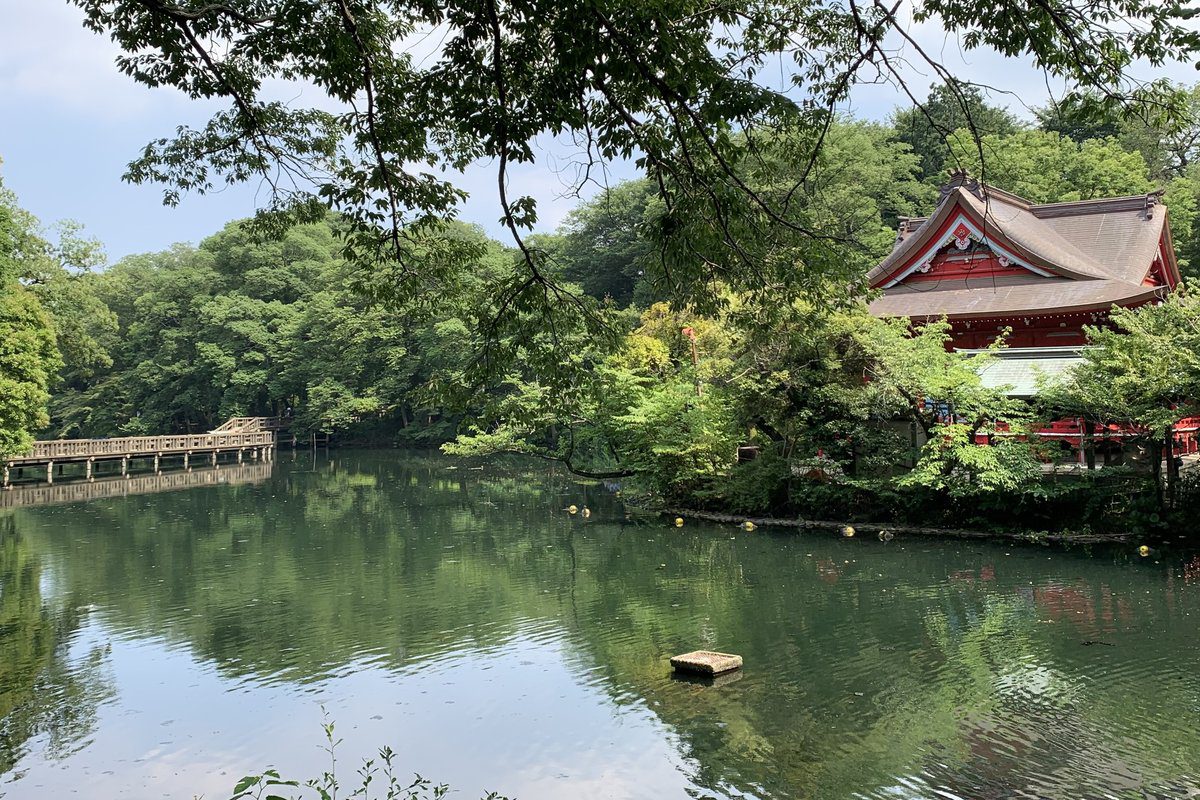 井之頭恩賜公園綠意湖畔