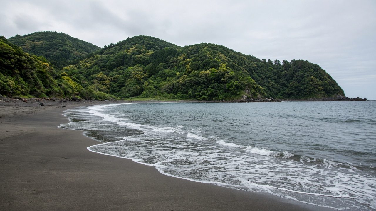 平野之濱