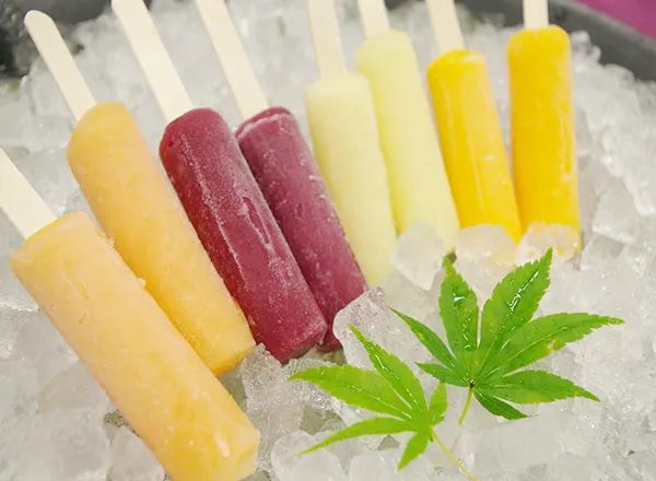 Wellness 之森 伊東 湯上り冰棒