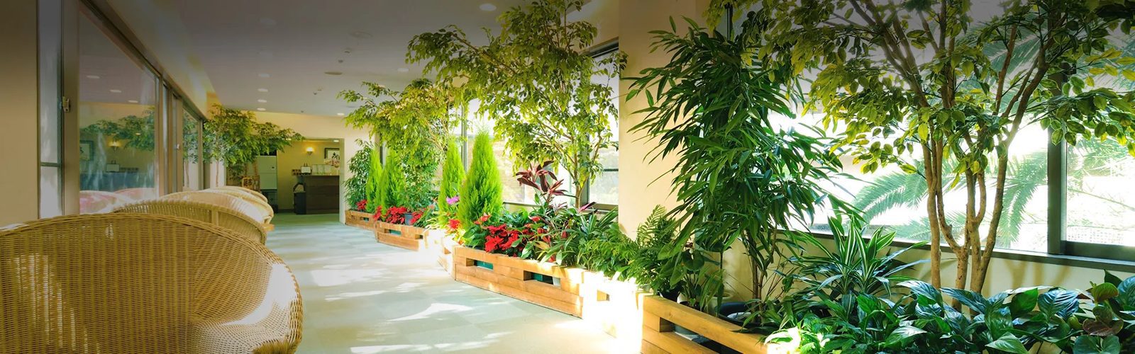 Wellness 之森 伊東 看得到綠意的館內空間